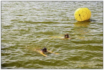Foto des Albums: Seeschwimmen 2026