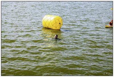 Foto des Albums: Seeschwimmen 2026