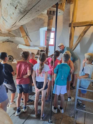 Foto des Albums: Ausflug der Klasse 3H zur Steprather Mühle und zum Waldspielplatz Walbeck