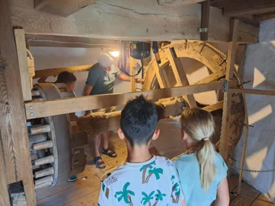 Foto des Albums: Ausflug der Klasse 3H zur Steprather Mühle und zum Waldspielplatz Walbeck