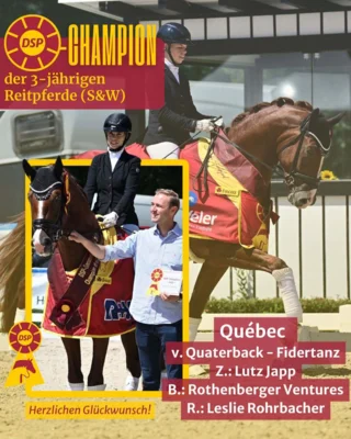 Foto des Albums: DSP Championat 2026
