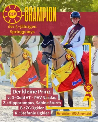 Foto des Albums: DSP Championat 2026
