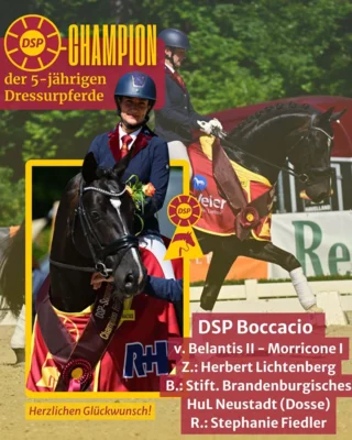 Foto des Albums: DSP Championat 2026