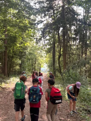 Foto des Albums: Sternennacht der Klassen 2a und 2b