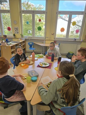 Foto des Albums: Ernährungsführerschein der Klassen 3a und 3b