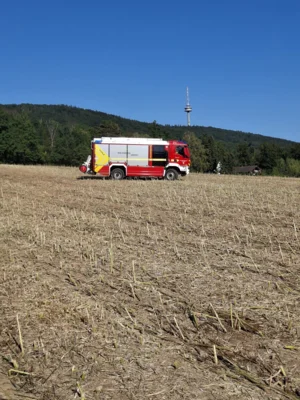 Foto des Albums: Einsatz Waldbrand Feggendorf