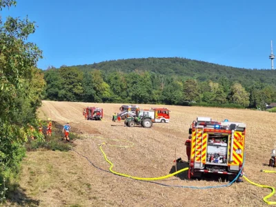 Foto des Albums: Einsatz Waldbrand Feggendorf