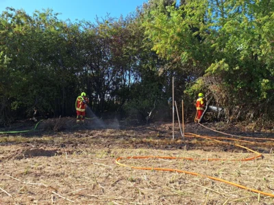 Foto des Albums: Einsatz Waldbrand Feggendorf