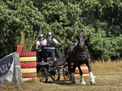 Foto des Albums: Fahrturnier in Brieselang