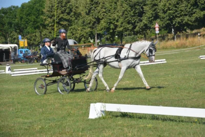 Foto des Albums: Fahrturnier in Brieselang