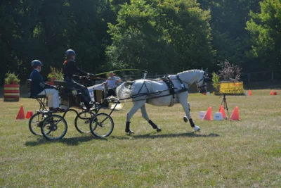 Foto des Albums: Fahrturnier in Brieselang