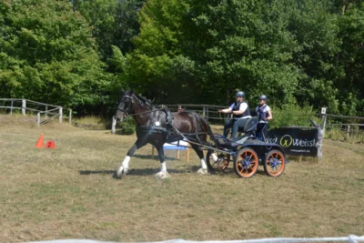 Foto des Albums: Fahrturnier in Brieselang