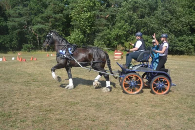 Foto des Albums: Fahrturnier in Brieselang