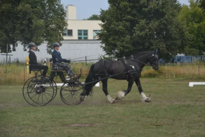 Foto des Albums: Fahrturnier in Brieselang