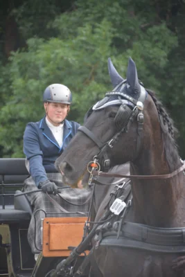 Foto des Albums: Fahrturnier in Brieselang