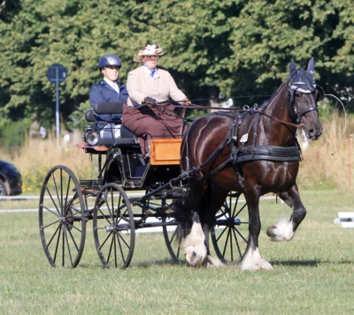 Foto des Albums: Fahrturnier in Brieselang