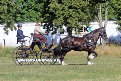 Foto des Albums: Fahrturnier in Brieselang