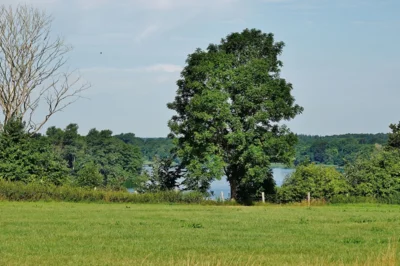 Seeblick vom Schmiedeberg 