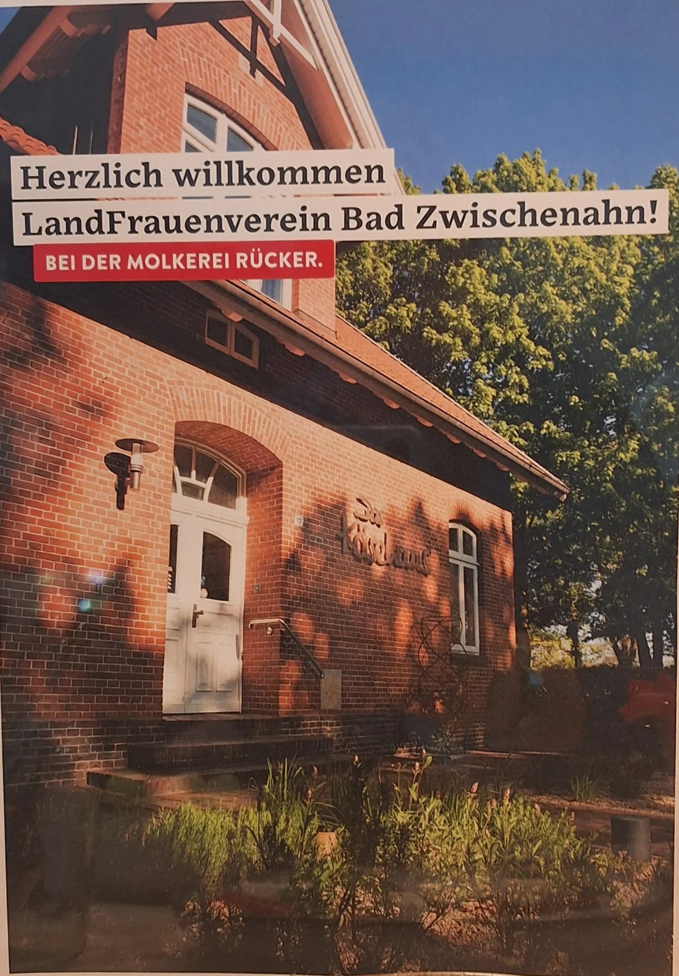 Bild der Galerie