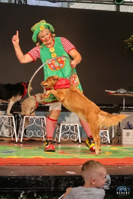 Kindershow &ndash; Piplines Traumbuch  (Bild vergr&ouml;&szlig;ern)