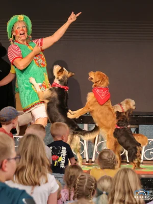 Kindershow &ndash; Piplines Traumbuch  (Bild vergr&ouml;&szlig;ern)