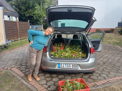 Foto des Albums: Kräutergarten 2026