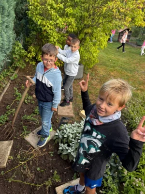 Foto des Albums: Kartoffel-Ernte im Schulgarten