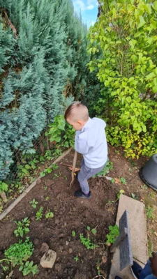 Foto des Albums: Kartoffel-Ernte im Schulgarten