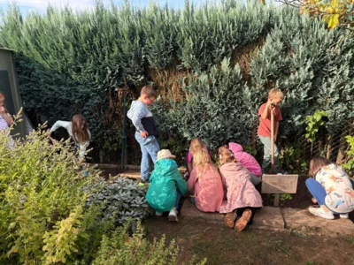 Foto des Albums: Kartoffel-Ernte im Schulgarten