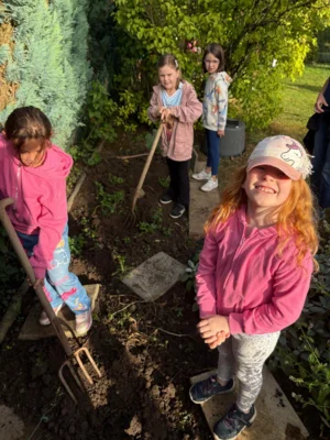 Foto des Albums: Kartoffel-Ernte im Schulgarten
