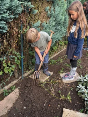 Foto des Albums: Kartoffel-Ernte im Schulgarten