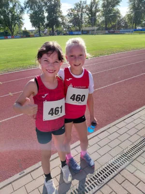 Foto des Albums: Angermünder Sommerlauf 08/26