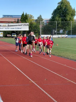 Foto des Albums: Angermünder Sommerlauf 08/26
