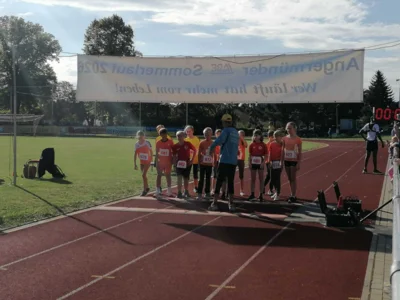 Foto des Albums: Angermünder Sommerlauf 08/26