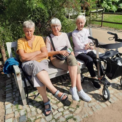Foto des Albums: Seniorenausfahrt ins Aboretum Ellerhoop