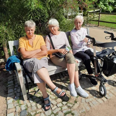 Foto des Albums: Seniorenausfahrt ins Aboretum Ellerhoop
