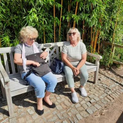 Foto des Albums: Seniorenausfahrt ins Aboretum Ellerhoop