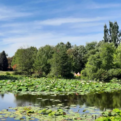Foto des Albums: Seniorenausfahrt ins Aboretum Ellerhoop