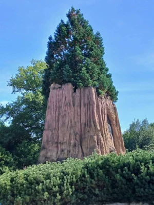 Foto des Albums: Seniorenausfahrt ins Aboretum Ellerhoop