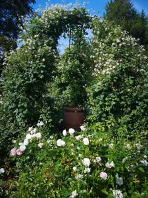 Foto des Albums: Seniorenausfahrt ins Aboretum Ellerhoop