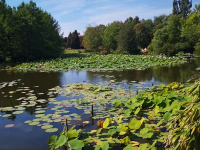 Foto des Albums: Seniorenausfahrt ins Aboretum Ellerhoop
