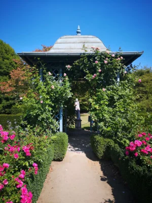 Foto des Albums: Seniorenausfahrt ins Aboretum Ellerhoop