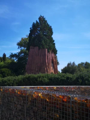 Foto des Albums: Seniorenausfahrt ins Aboretum Ellerhoop