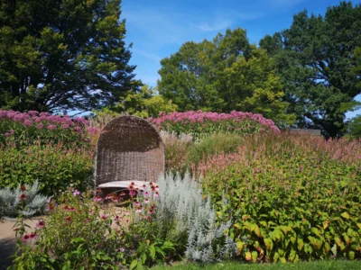 Foto des Albums: Seniorenausfahrt ins Aboretum Ellerhoop