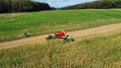 Foto des Albums: Sonnige Maisernte im Herbst 2026
