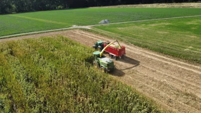 Foto des Albums: Sonnige Maisernte im Herbst 2026