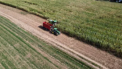 Foto des Albums: Sonnige Maisernte im Herbst 2026