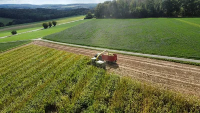 Wende am westlichen Feldweg  (Bild vergr&ouml;&szlig;ern)