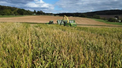 Foto des Albums: Sonnige Maisernte im Herbst 2026