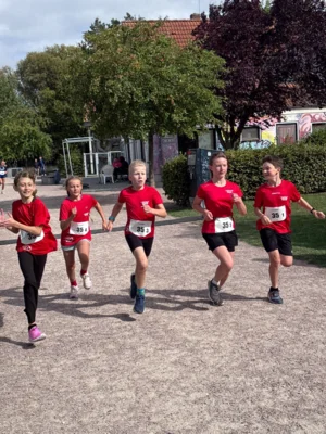 Foto des Albums: Staffelmarathon in Neubrandenburg